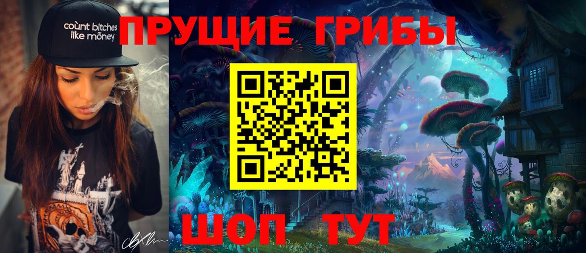 Владимир  Псилоцибиновые грибы мицелий  Вход с VPN 